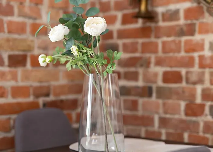 Stare Music شقة *