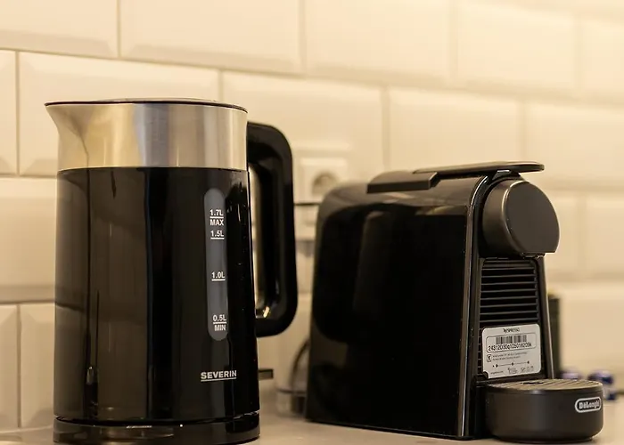 Stare Music بوزنان